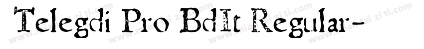  Telegdi Pro BdIt Regular字体转换